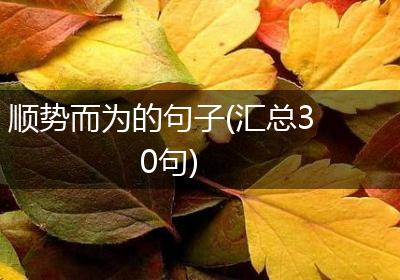 顺势而为的句子(汇总30句)
