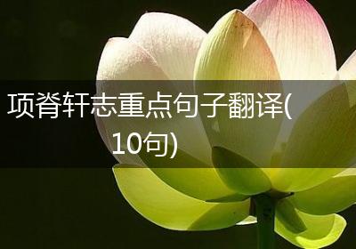 项脊轩志重点句子翻译(10句)