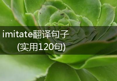 imitate翻译句子(实用120句)
