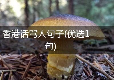 香港话骂人句子(优选1句)