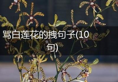 骂白莲花的拽句子(10句)