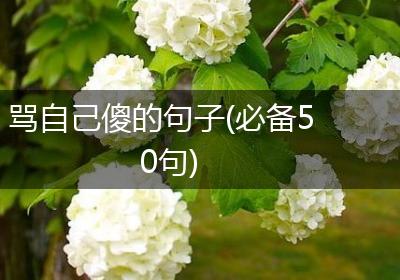 骂自己傻的句子(必备50句)