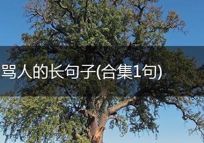 骂人的长句子(合集1句)