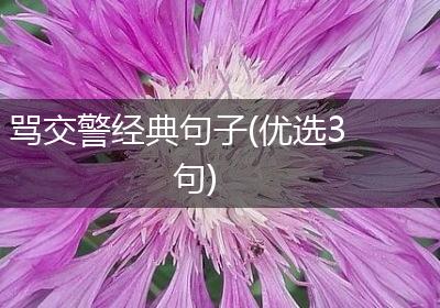 骂交警经典句子(优选3句)
