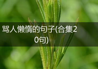 骂人懒惰的句子(合集20句)