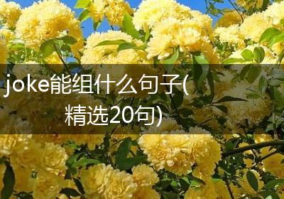 joke能组什么句子(精选20句)