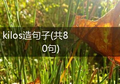kilos造句子(共80句)