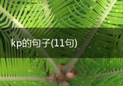 kp的句子(11句)