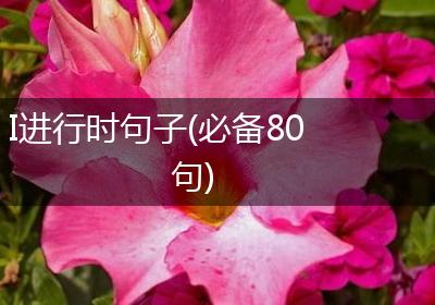 I进行时句子(必备80句)