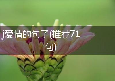 j爱情的句子(推荐71句)