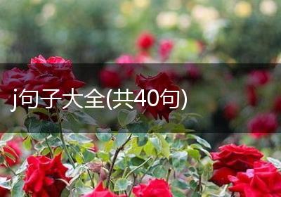 j句子大全(共40句)