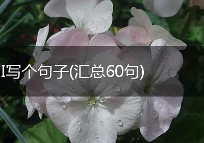 I写个句子(汇总60句)