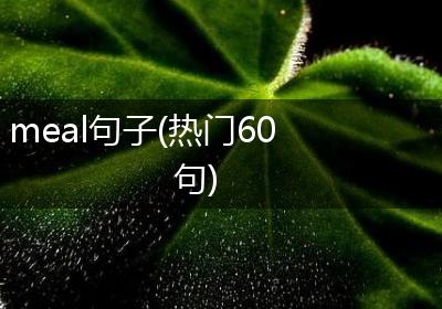 meal句子(热门60句)