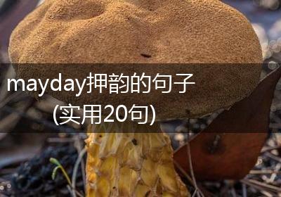 mayday押韵的句子(实用20句)