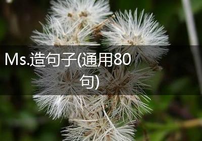 Ms.造句子(通用80句)