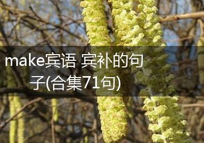 make宾语 宾补的句子(合集71句)
