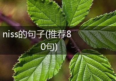 niss的句子(推荐80句)