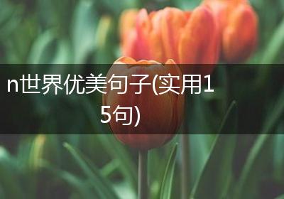 n世界优美句子(实用15句)