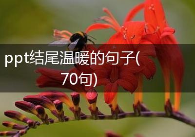 ppt结尾温暖的句子(70句)