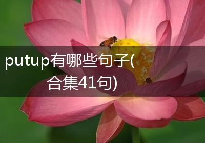 putup有哪些句子(合集41句)