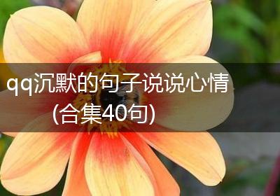 qq沉默的句子说说心情(合集40句)