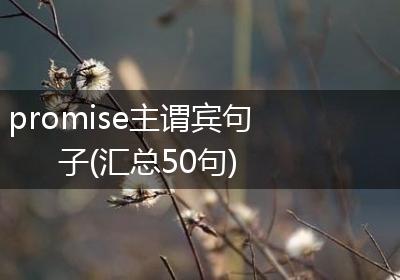 promise主谓宾句子(汇总50句)