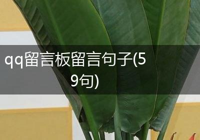 qq留言板留言句子(59句)