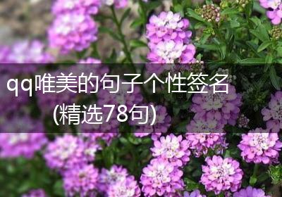qq唯美的句子个性签名(精选78句)