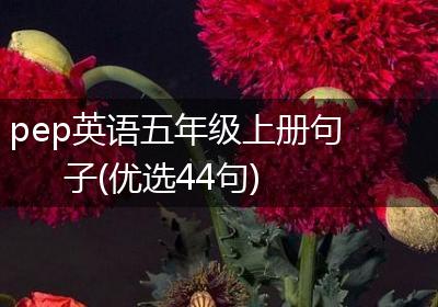 pep英语五年级上册句子(优选44句)
