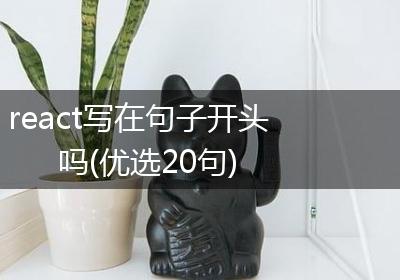 react写在句子开头吗(优选20句)