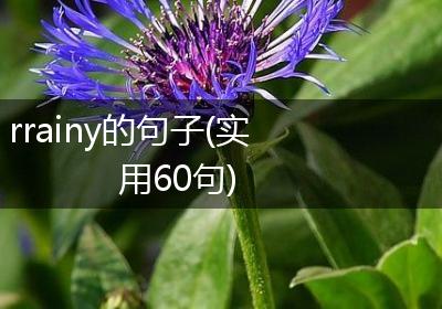 rrainy的句子(实用60句)