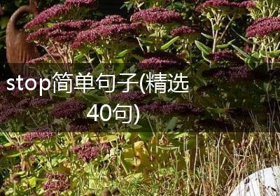 stop简单句子(精选40句)