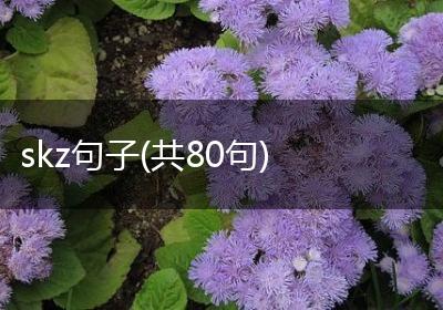 skz句子(共80句)