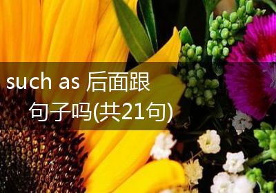 such as 后面跟句子吗(共21句)