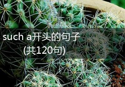 such a开头的句子(共120句)