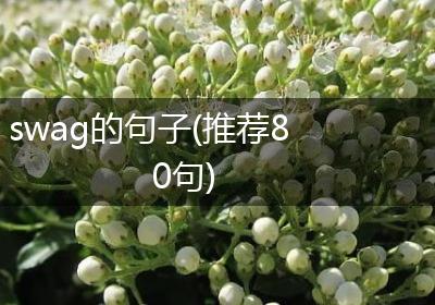 swag的句子(推荐80句)