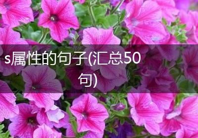 s属性的句子(汇总50句)