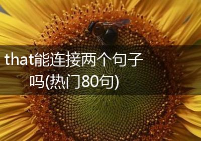 that能连接两个句子吗(热门80句)