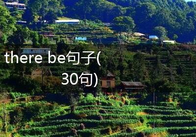there be句子(30句)