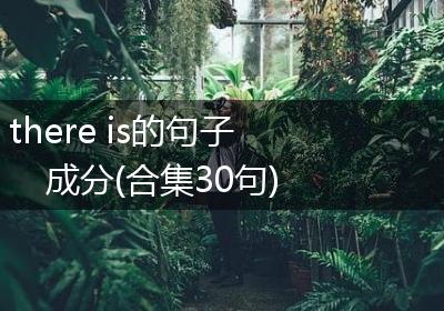 there is的句子成分(合集30句)