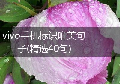 vivo手机标识唯美句子(精选40句)