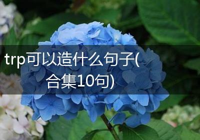 trp可以造什么句子(合集10句)