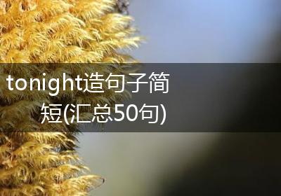 tonight造句子简短(汇总50句)
