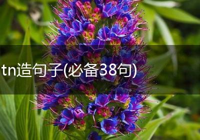 tn造句子(必备38句)