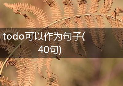todo可以作为句子(40句)