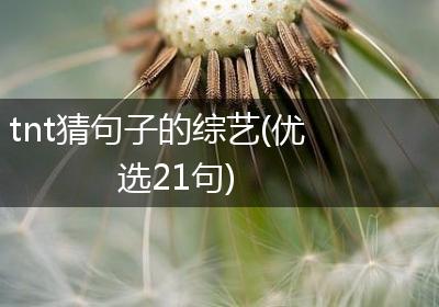tnt猜句子的综艺(优选21句)