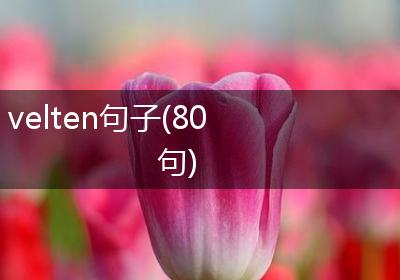 velten句子(80句)