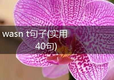 wasn t句子(实用40句)
