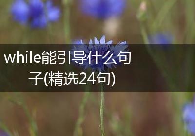 while能引导什么句子(精选24句)