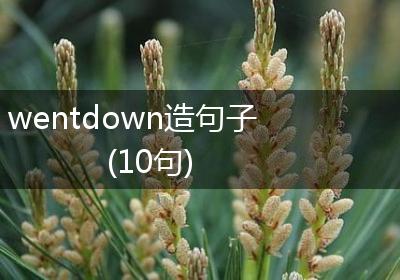 wentdown造句子(10句)